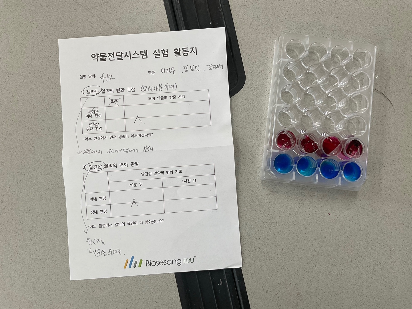 약물전달 시스템 실험 활동사진